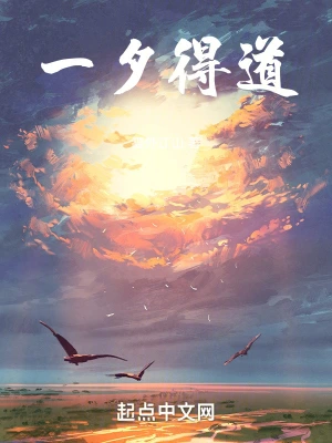Enlightenment overnight