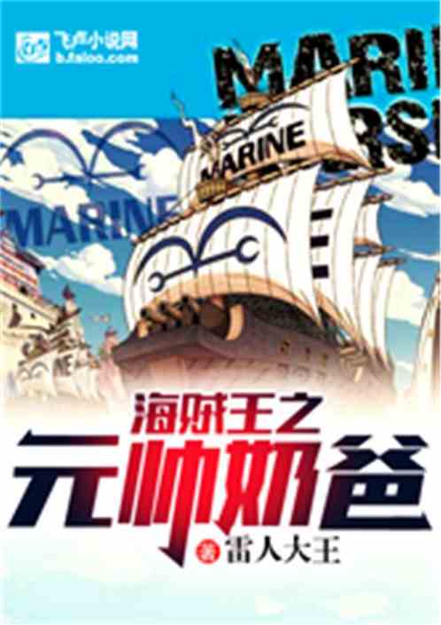 The Marshal of the One Piece